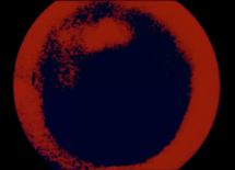 Rewind / Replay Cinédoc