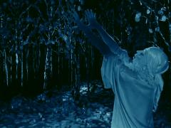 Rabbit's Moon 2